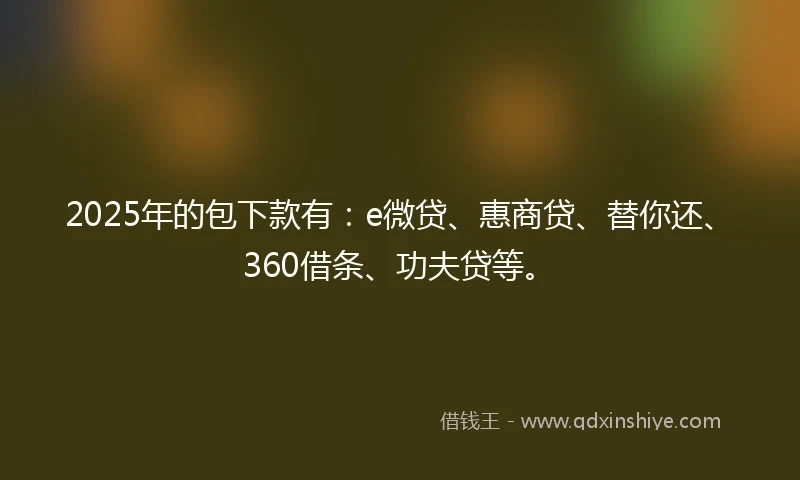 2025年的包下款有：e微贷、惠商贷、替你还、360借条、功夫贷等。