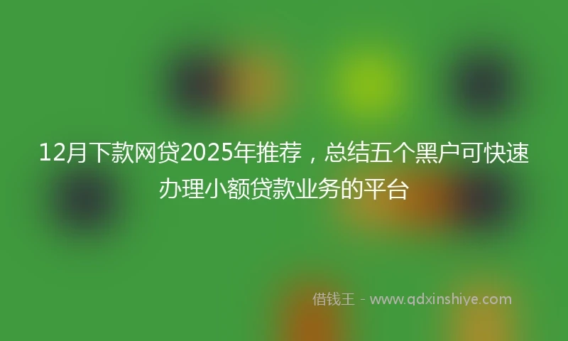 12月下款网贷2025年推荐，总结五个黑户可快速办理小额贷款业务的平台