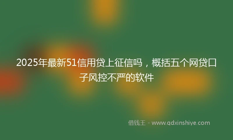 2025年最新51信用贷上征信吗，概括五个网贷口子风控不严的软件