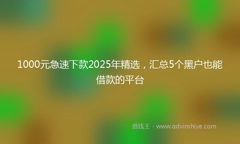 1000元急速下款2025年精选，汇总5个黑户也能借款的平台