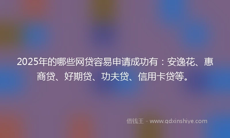 2025年的哪些网贷容易申请成功有：安逸花、惠商贷、好期贷、功夫贷、信用卡贷等。