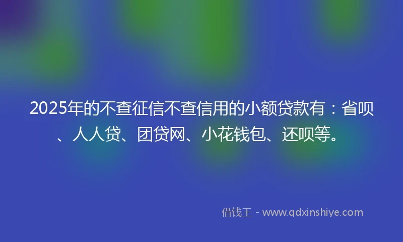 2025年的不查征信不查信用的小额贷款有：省呗、人人贷、团贷网、小花钱包、还呗等。