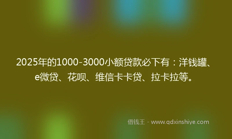 2025年的1000-3000小额贷款必下有：洋钱罐、e微贷、花呗、维信卡卡贷、拉卡拉等。