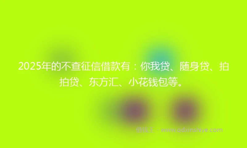 2025年的不查征信借款有：你我贷、随身贷、拍拍贷、东方汇、小花钱包等。