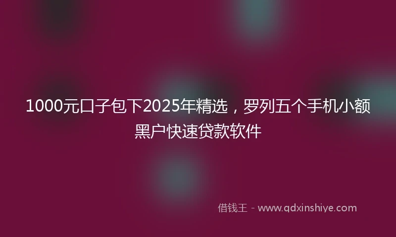 1000元口子包下2025年精选，罗列五个手机小额黑户快速贷款软件