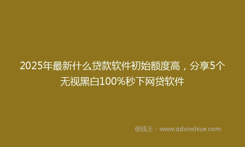 2025年最新什么贷款软件初始额度高，分享5个无视黑白100%秒下网贷软件