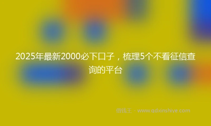 2025年最新2000必下口子，梳理5个不看征信查询的平台