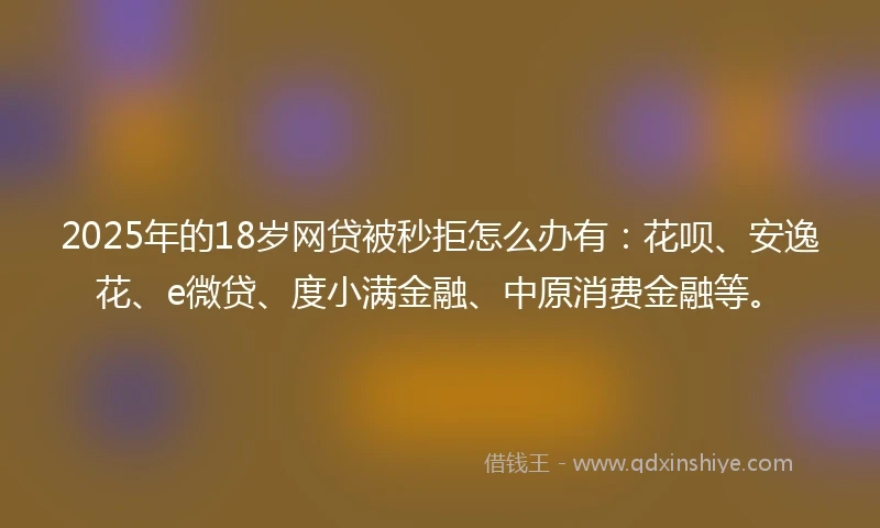 2025年的18岁网贷被秒拒怎么办有：花呗、安逸花、e微贷、度小满金融、中原消费金融等。