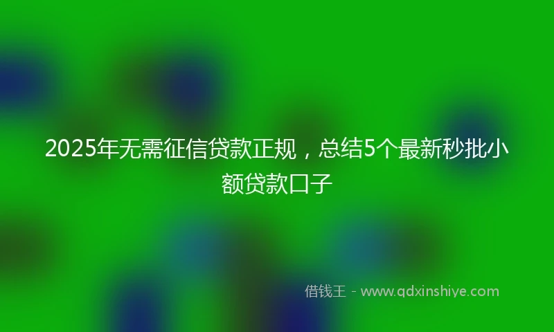 2025年无需征信贷款正规，总结5个最新秒批小额贷款口子