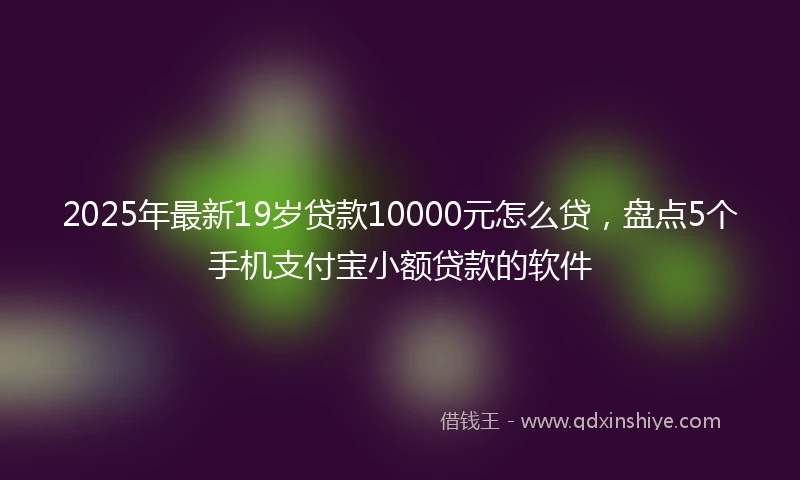 2025年最新19岁贷款10000元怎么贷，盘点5个手机支付宝小额贷款的软件