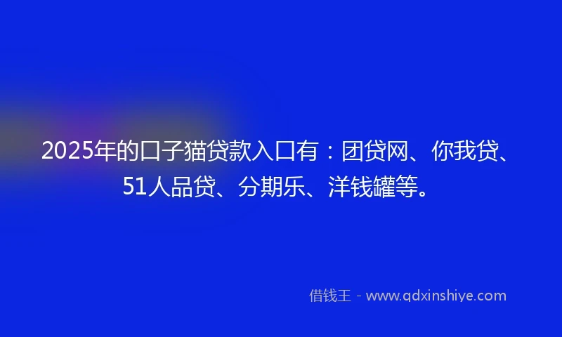 2025年的口子猫贷款入口有：团贷网、你我贷、51人品贷、分期乐、洋钱罐等。