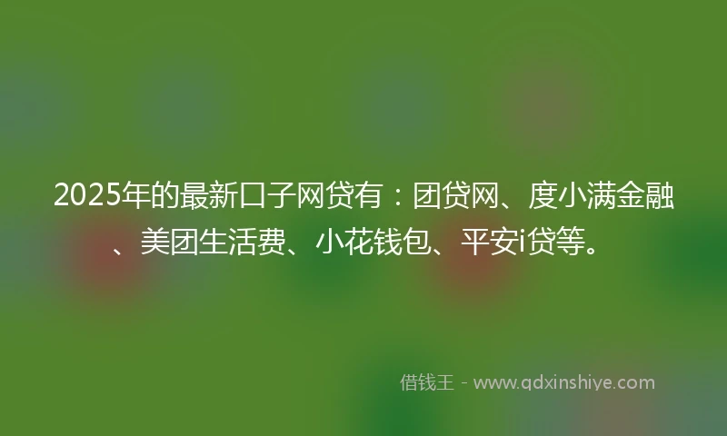 2025年的最新口子网贷有：团贷网、度小满金融、美团生活费、小花钱包、平安i贷等。