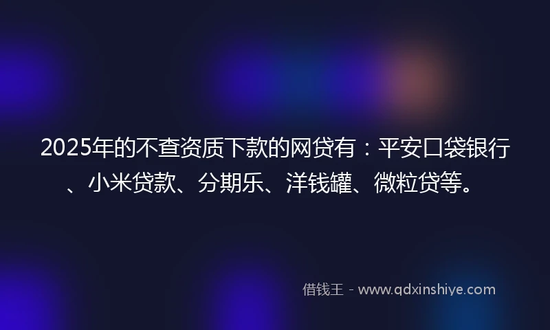 2025年的不查资质下款的网贷有：平安口袋银行、小米贷款、分期乐、洋钱罐、微粒贷等。