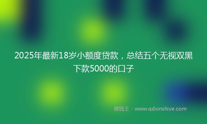 2025年最新18岁小额度贷款，总结五个无视双黑下款5000的口子