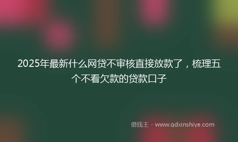 2025年最新什么网贷不审核直接放款了，梳理五个不看欠款的贷款口子