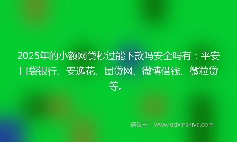2025年的小额网贷秒过能下款吗安全吗有：平安口袋银行、安逸花、团贷网、微博借钱、微粒贷等。