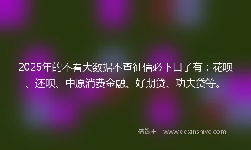 2025年的不看大数据不查征信必下口子有：花呗、还呗、中原消费金融、好期贷、功夫贷等。