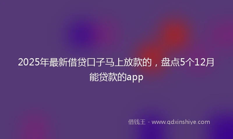2025年最新借贷口子马上放款的，盘点5个12月能贷款的app
