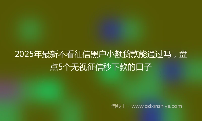 2025年最新不看征信黑户小额贷款能通过吗，盘点5个无视征信秒下款的口子