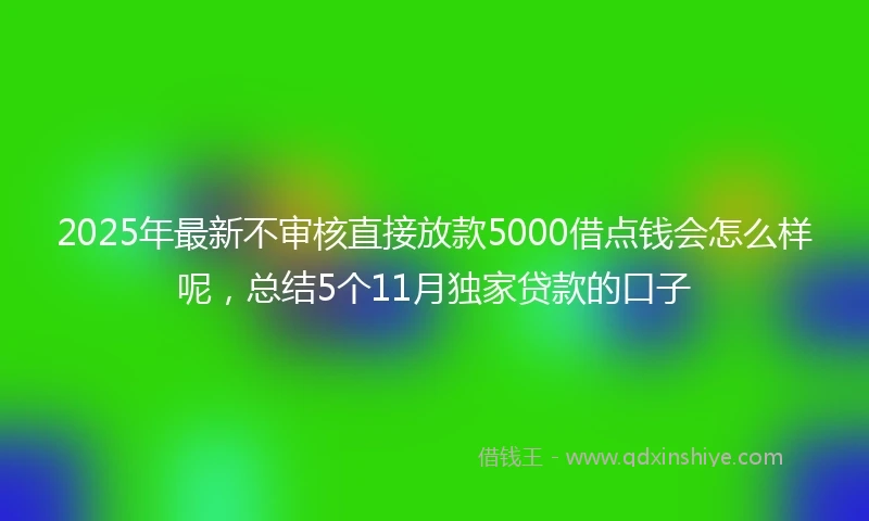 2025年最新不审核直接放款5000借点钱会怎么样呢，总结5个11月独家贷款的口子