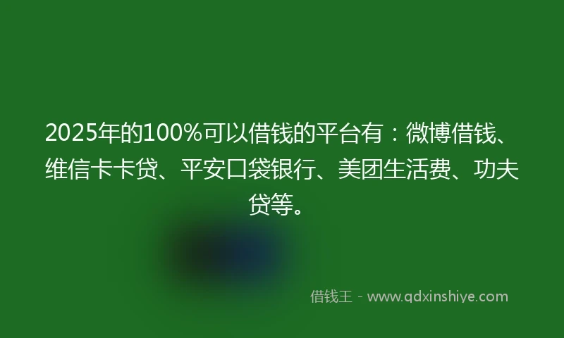 2025年的100%可以借钱的平台有：微博借钱、维信卡卡贷、平安口袋银行、美团生活费、功夫贷等。
