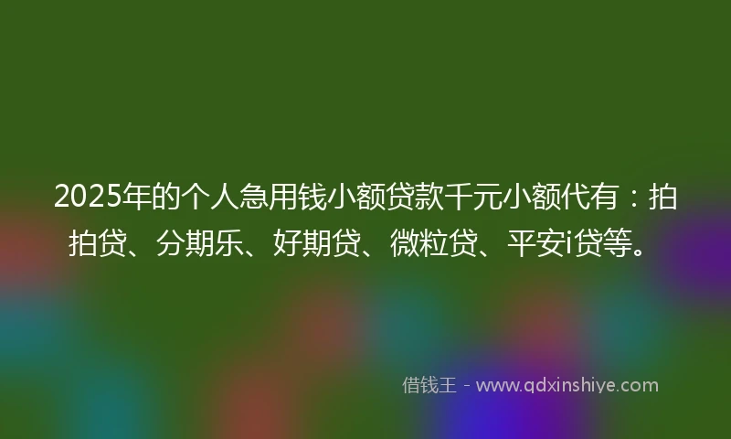 2025年的个人急用钱小额贷款千元小额代有：拍拍贷、分期乐、好期贷、微粒贷、平安i贷等。