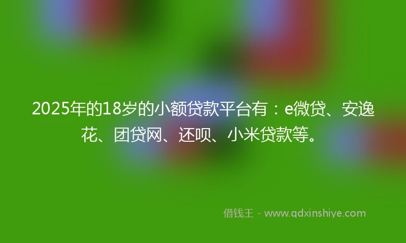 2025年的18岁的小额贷款平台有：e微贷、安逸花、团贷网、还呗、小米贷款等。