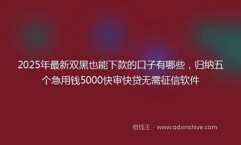 2025年最新双黑也能下款的口子有哪些，归纳五个急用钱5000快审快贷无需征信软件