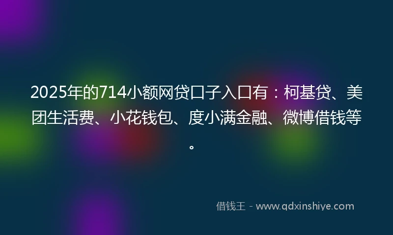 2025年的714小额网贷口子入口有：柯基贷、美团生活费、小花钱包、度小满金融、微博借钱等。
