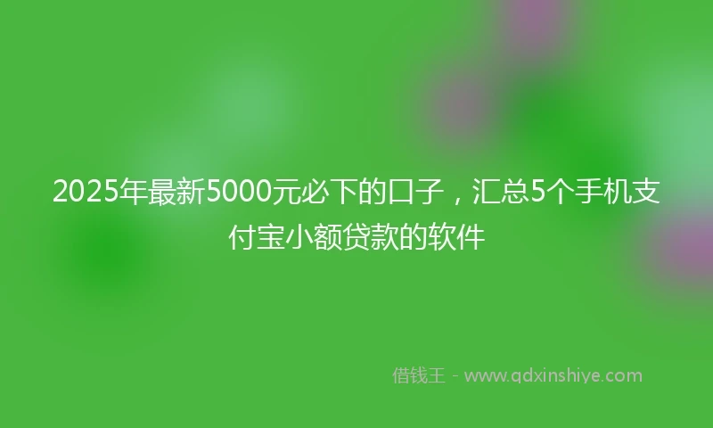 2025年最新5000元必下的口子，汇总5个手机支付宝小额贷款的软件