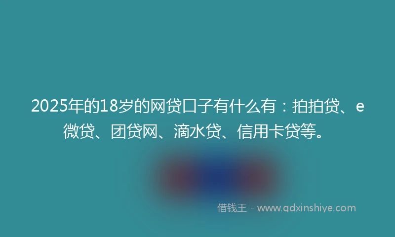 2025年的18岁的网贷口子有什么有：拍拍贷、e微贷、团贷网、滴水贷、信用卡贷等。