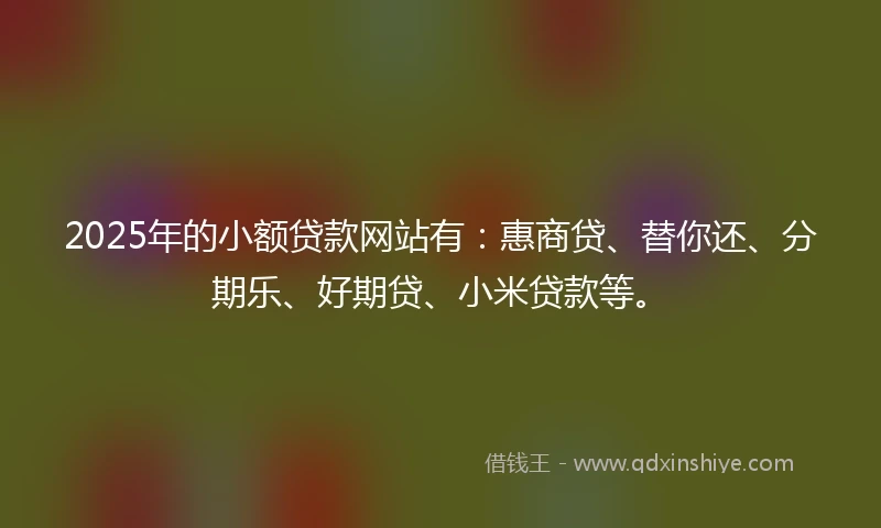 2025年的小额贷款网站有：惠商贷、替你还、分期乐、好期贷、小米贷款等。