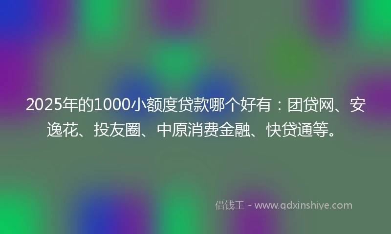2025年的1000小额度贷款哪个好有：团贷网、安逸花、投友圈、中原消费金融、快贷通等。