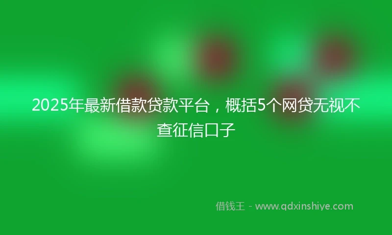 2025年最新借款贷款平台，概括5个网贷无视不查征信口子