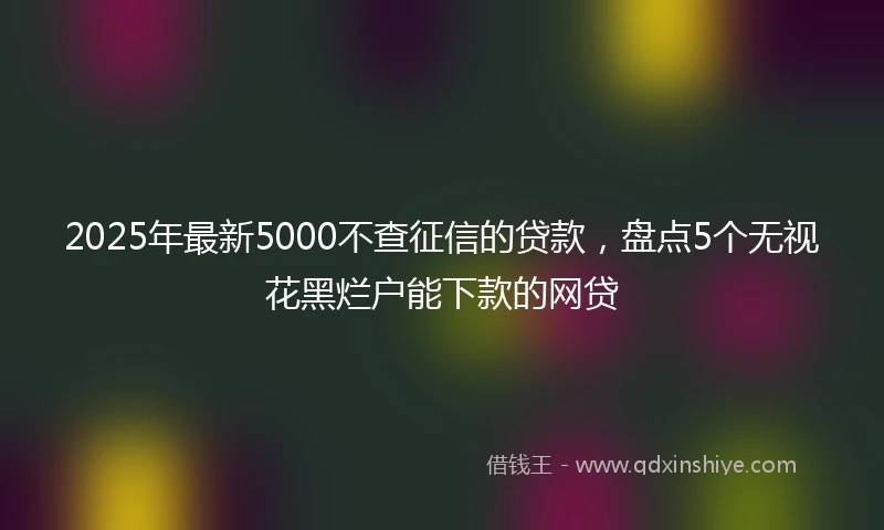 2025年最新5000不查征信的贷款，盘点5个无视花黑烂户能下款的网贷