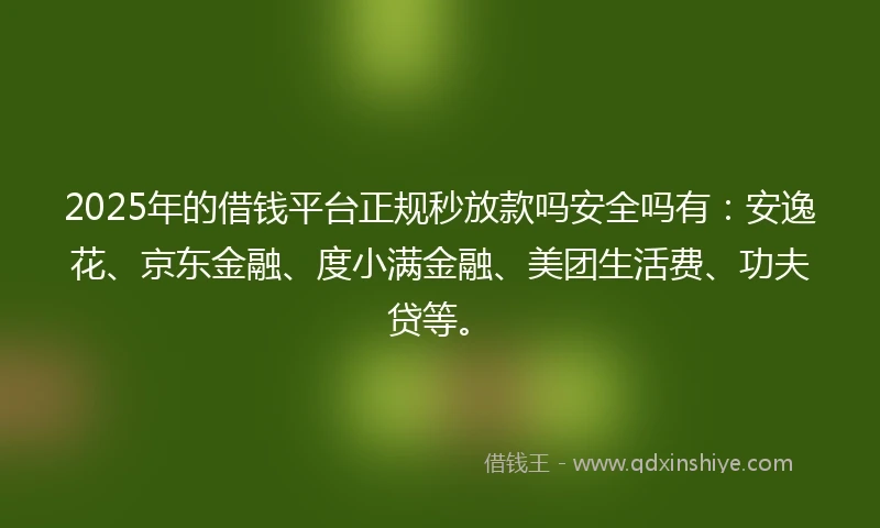2025年的借钱平台正规秒放款吗安全吗有：安逸花、京东金融、度小满金融、美团生活费、功夫贷等。