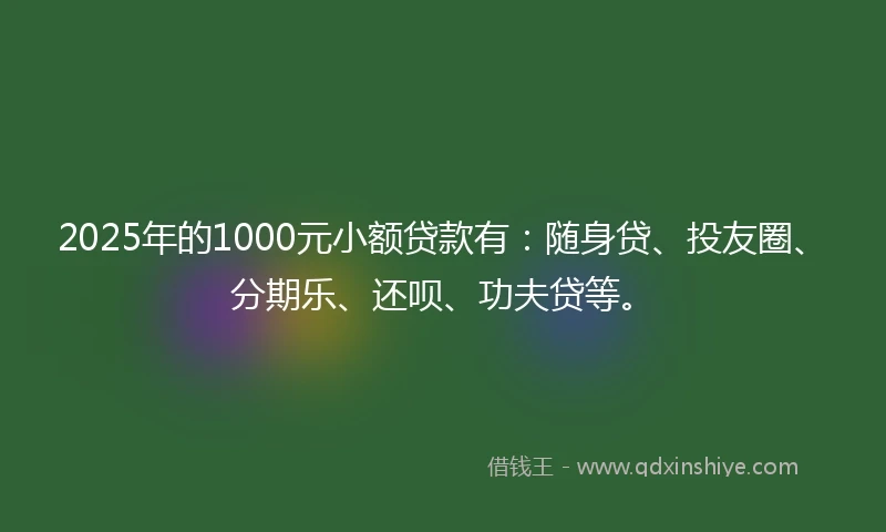 2025年的1000元小额贷款有：随身贷、投友圈、分期乐、还呗、功夫贷等。