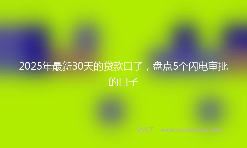 2025年最新30天的贷款口子，盘点5个闪电审批的口子