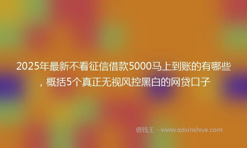2025年最新不看征信借款5000马上到账的有哪些，概括5个真正无视风控黑白的网贷口子