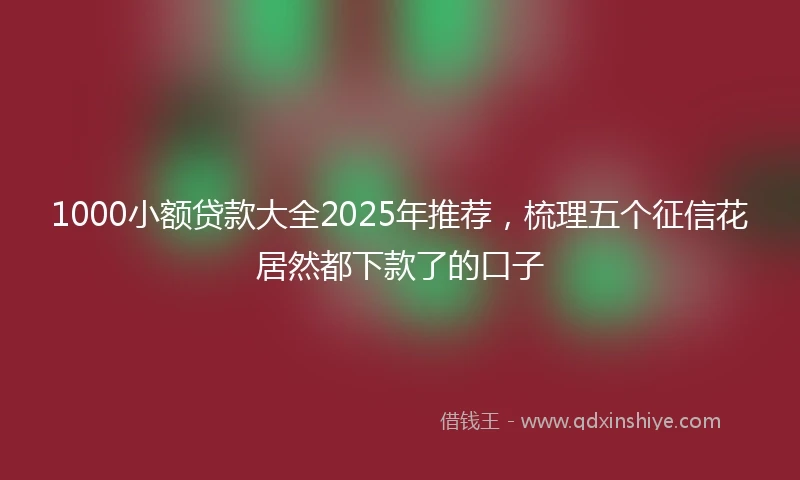 1000小额贷款大全2025年推荐，梳理五个征信花居然都下款了的口子