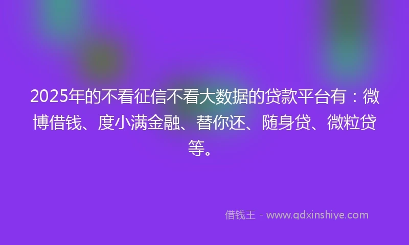 2025年的不看征信不看大数据的贷款平台有：微博借钱、度小满金融、替你还、随身贷、微粒贷等。