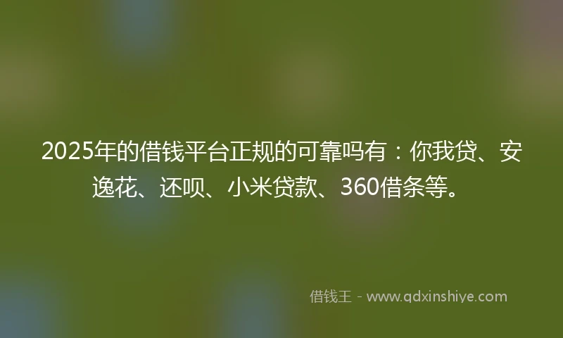 2025年的借钱平台正规的可靠吗有：你我贷、安逸花、还呗、小米贷款、360借条等。