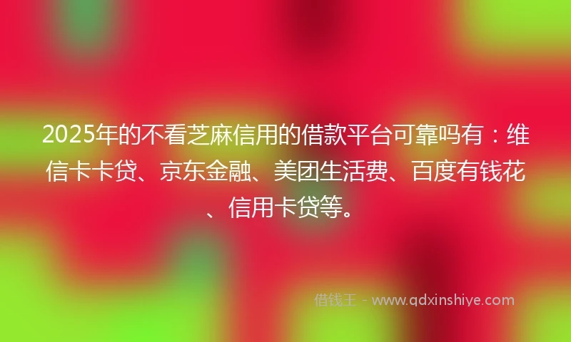 2025年的不看芝麻信用的借款平台可靠吗有：维信卡卡贷、京东金融、美团生活费、百度有钱花、信用卡贷等。