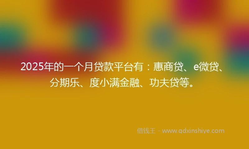 2025年的一个月贷款平台有：惠商贷、e微贷、分期乐、度小满金融、功夫贷等。