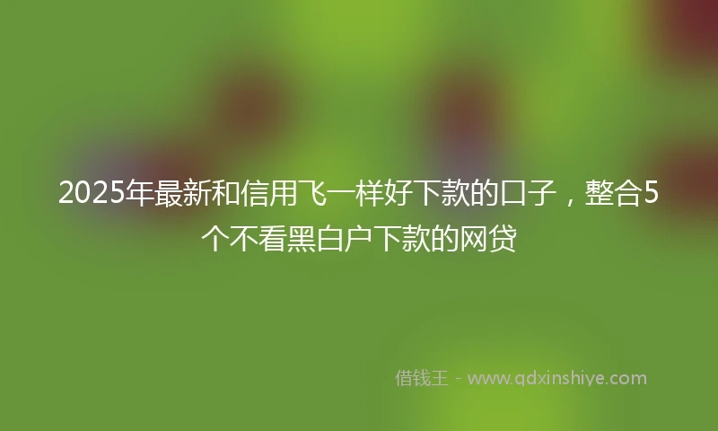 2025年最新和信用飞一样好下款的口子，整合5个不看黑白户下款的网贷