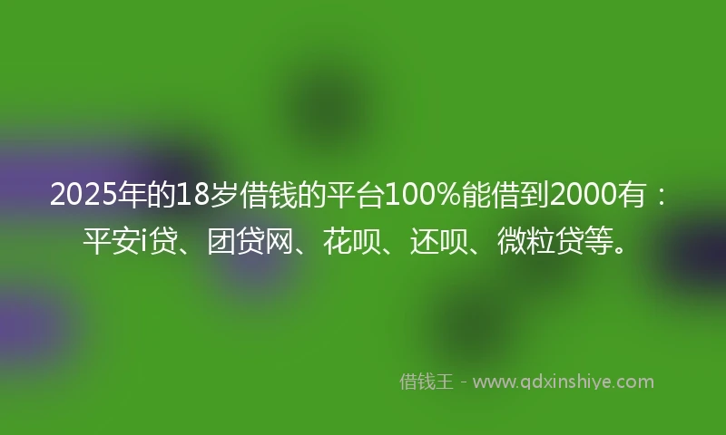 2025年的18岁借钱的平台100%能借到2000有：平安i贷、团贷网、花呗、还呗、微粒贷等。