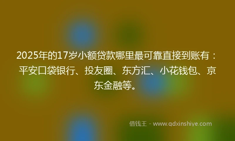 2025年的17岁小额贷款哪里最可靠直接到账有：平安口袋银行、投友圈、东方汇、小花钱包、京东金融等。
