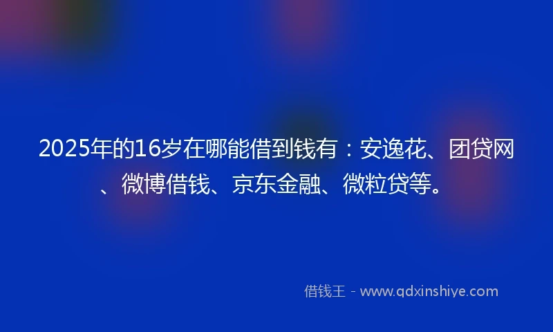 2025年的16岁在哪能借到钱有：安逸花、团贷网、微博借钱、京东金融、微粒贷等。