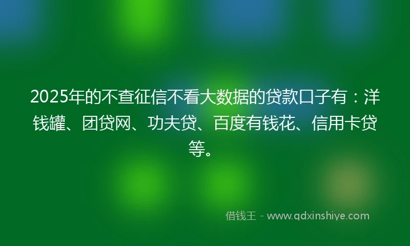 2025年的不查征信不看大数据的贷款口子有：洋钱罐、团贷网、功夫贷、百度有钱花、信用卡贷等。