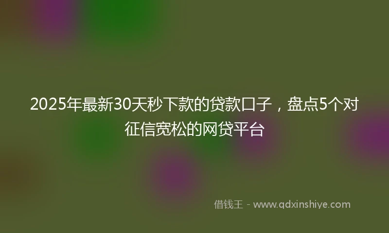 2025年最新30天秒下款的贷款口子，盘点5个对征信宽松的网贷平台